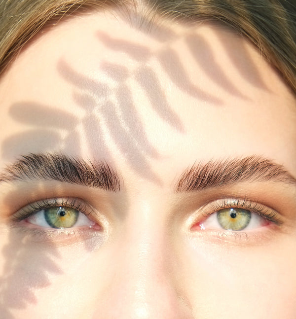 blog 6 Ways to Inspire Eyebrow Envy feature image
