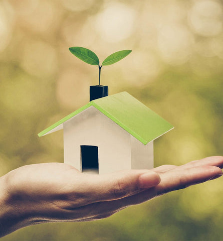 Blog Feed Article Feature Image Carousel: The Best Earth Friendly Products for Your Home 